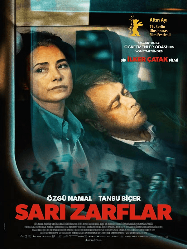 SARI ZARFLAR